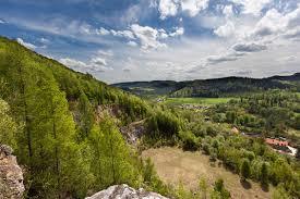 Rezerwat przyrody Góra Miłek